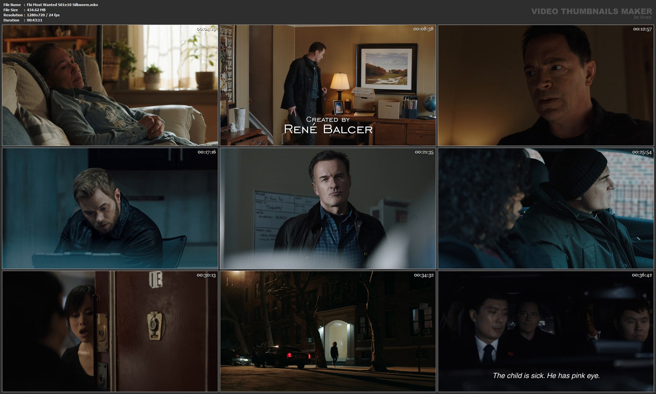 Fbi Most Wanted S01e10 Silkworm.mkv