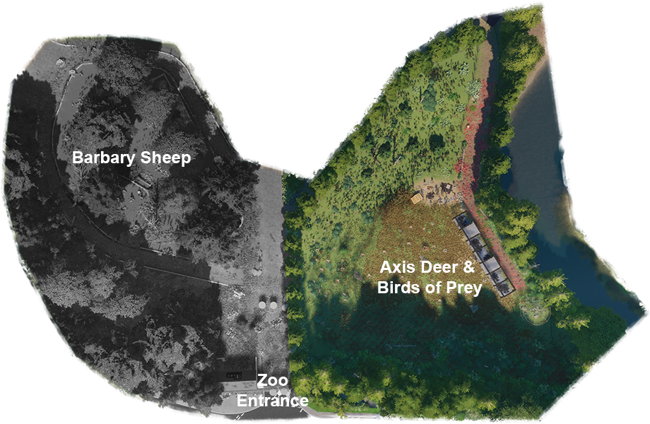 Axis-deer-Map.png