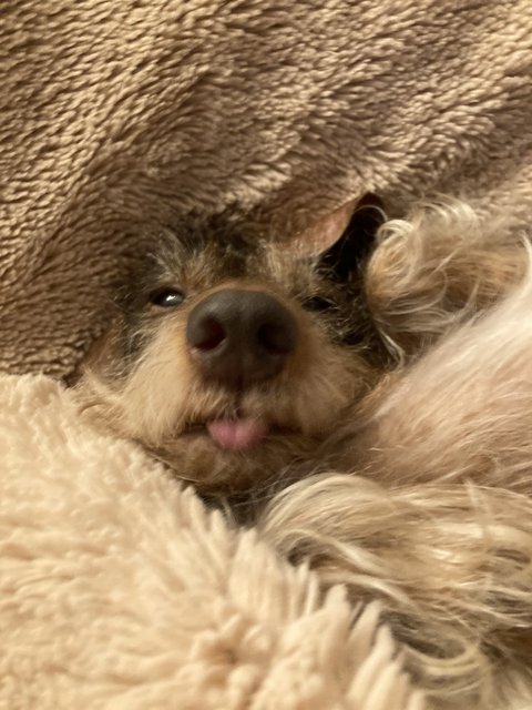 [Image: IMG-3778.jpg]