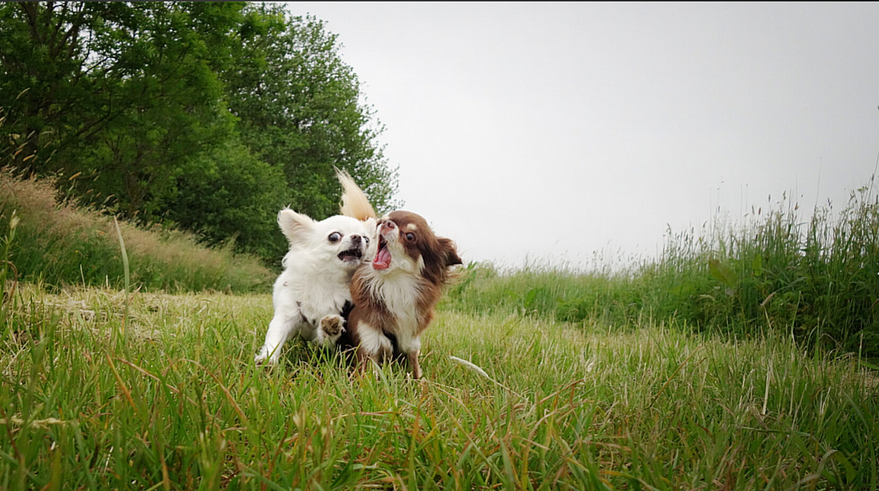 Lumii_20210605_143553334