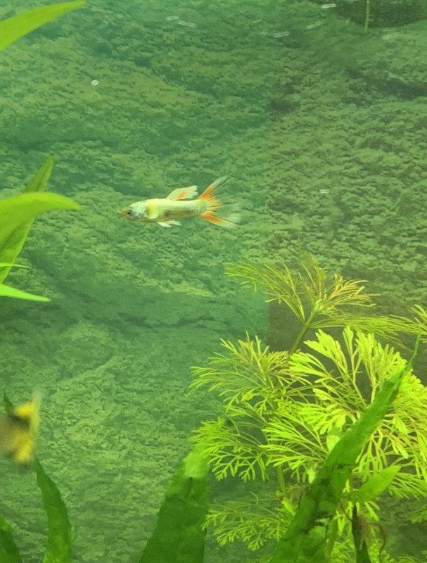 23202039-0E87-468B-B84A-20CB380081C0