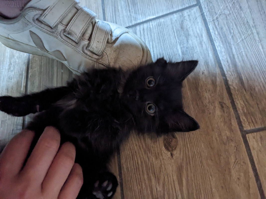 PXL_20230910_165559255.MP