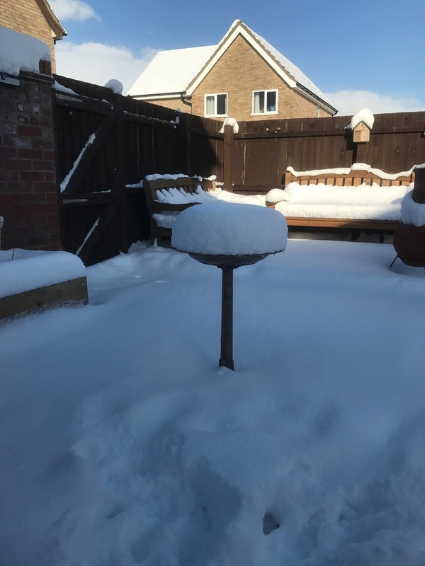 C1B7A9B3-733E-4749-9B1E-13DCF3F5BCC4