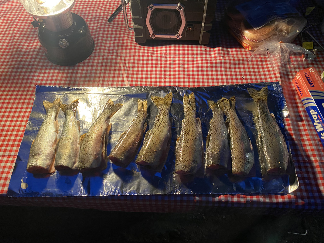 1FF377F1-E8FF-4FD7-AD71-96FB185515C7