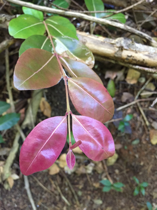 7B5B612C-CA7D-4335-A50B-6489ADC6FD1B