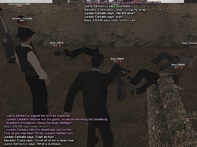 SS1.png
