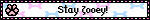stayzooey