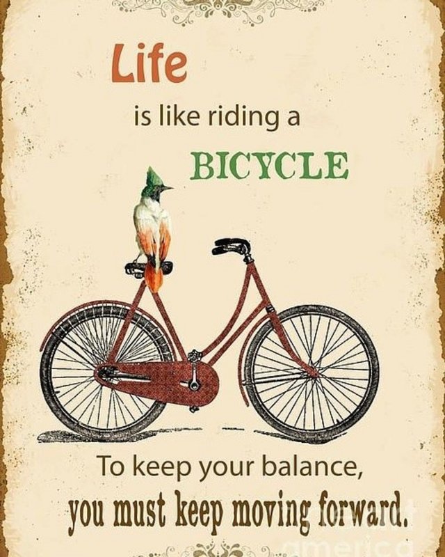 [Image: 197596180-2888105891438647-6152576358154206340-n.jpg]