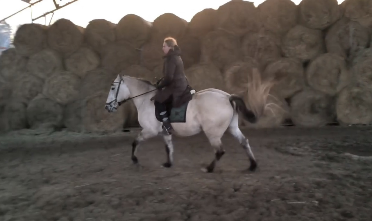 49C3CB47-C07F-41E3-8C55-07C3F7CA37A1