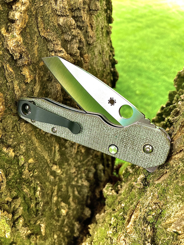 Show your love for Taichung Taiwan Spydercos! - Page 6