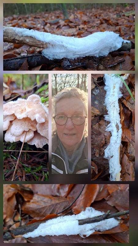 Whats-App-Image-2026-01-20-at-12-31-12