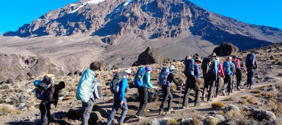 Hiking, Safari, and Beach Bliss: An Adventurous Escape