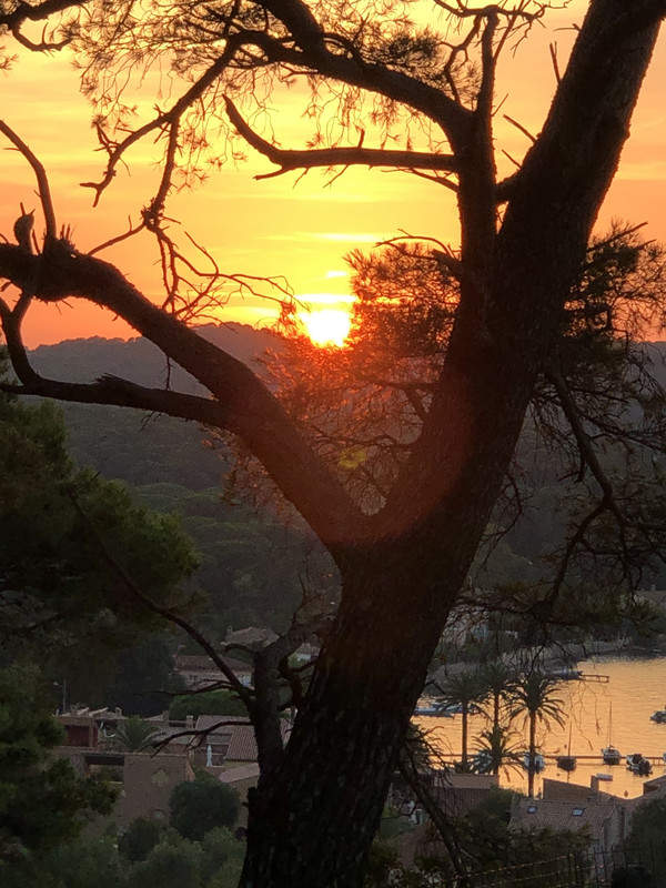 CA68DFD1-E3ED-4B7A-AE17-6912915254F8