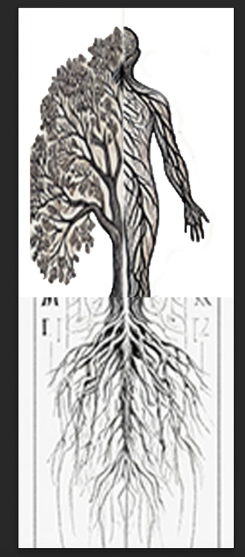 Screenshot 2024-12-11 at 4.36.33 PM