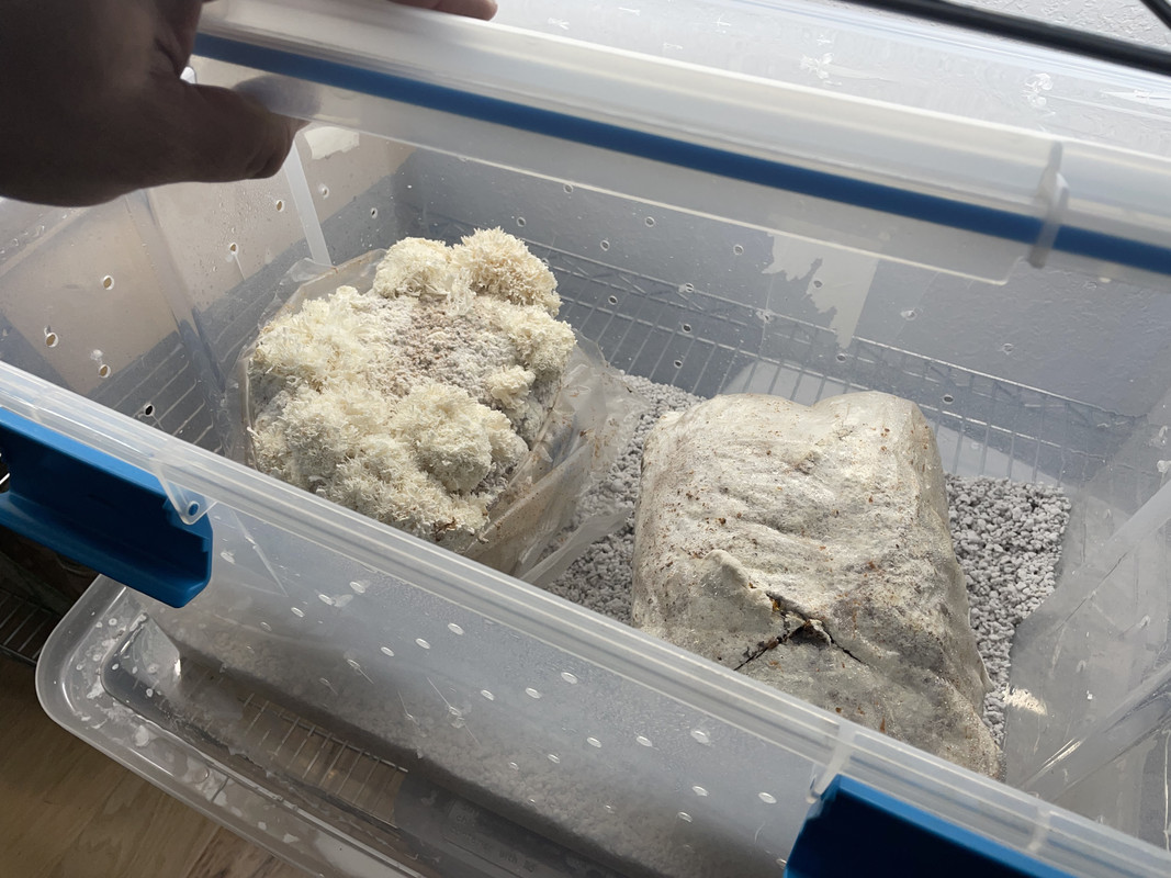 774E02BE-EAFE-4D57-9087-655F9C486A01