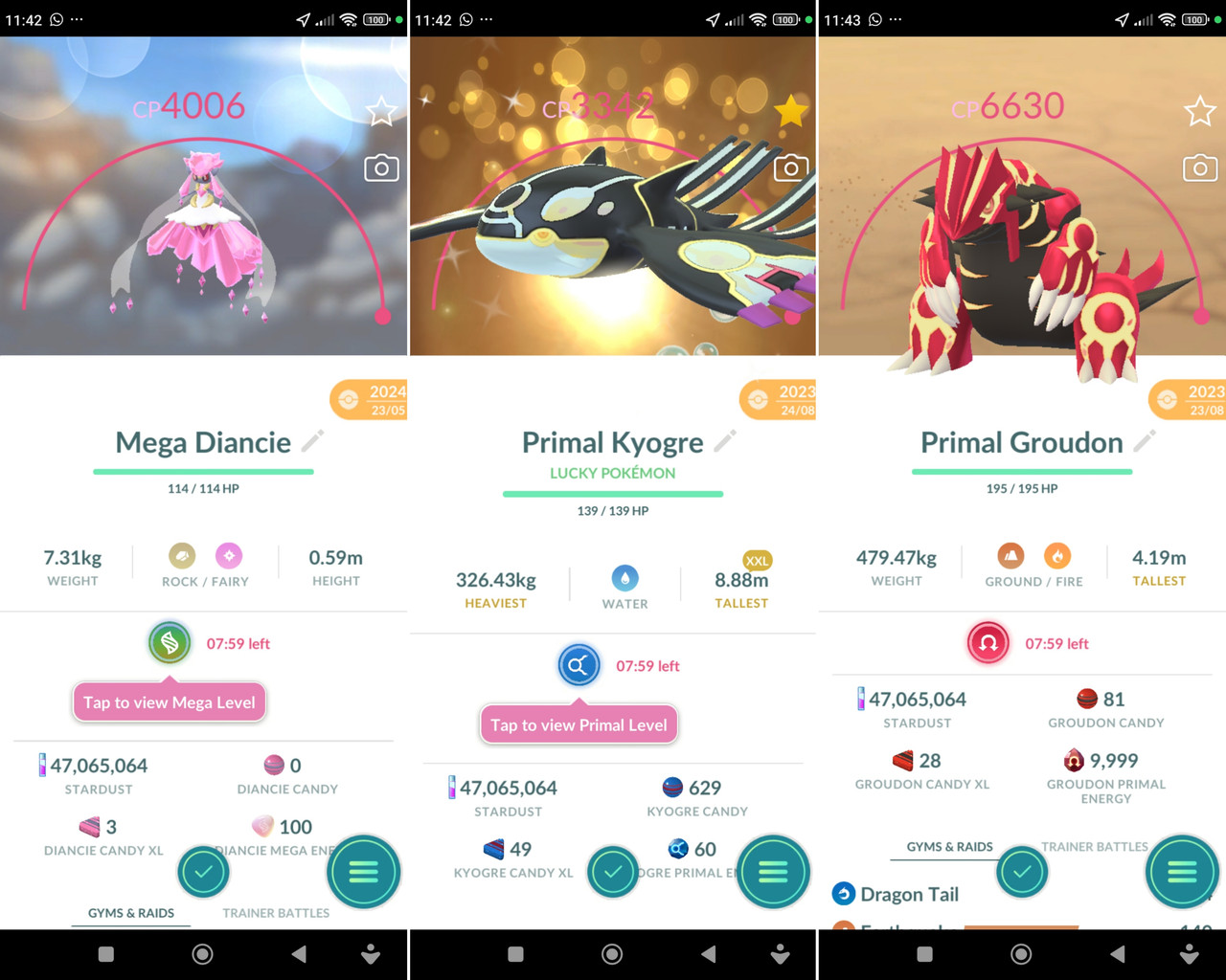 Polish 20260224 115530425