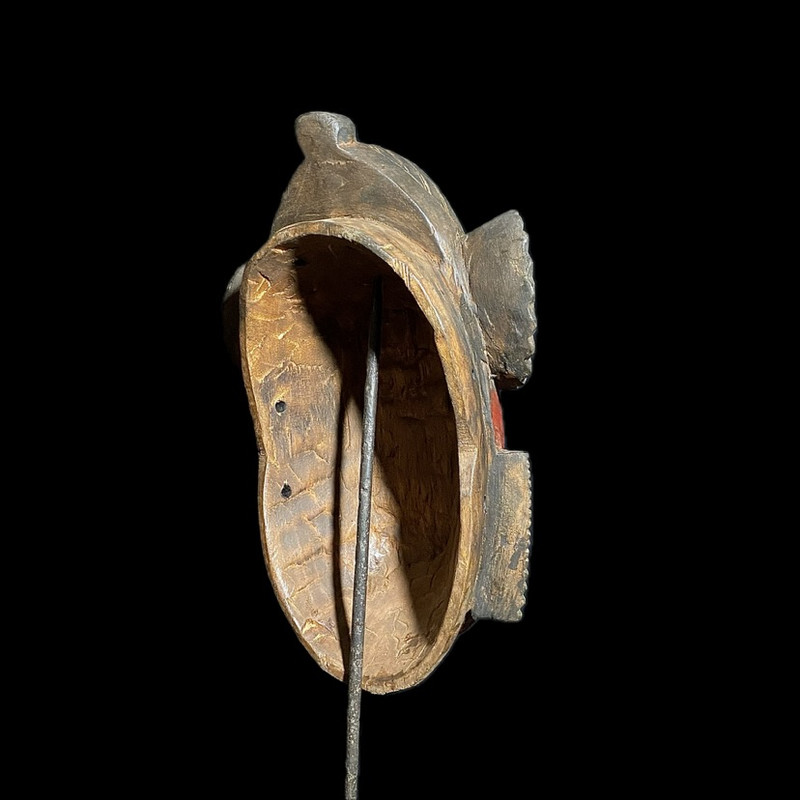 large image 9