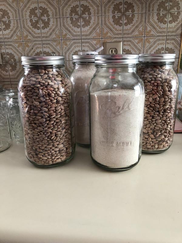 Canned Goods 02