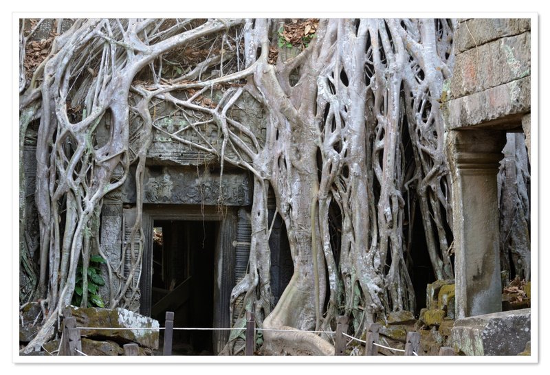 Angkor II. Circuito corto. - De la bahía de Halong a los templos de Angkor (3)