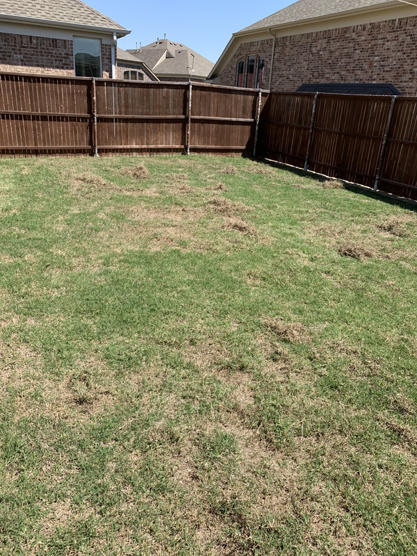 D9AD1246-C524-4995-A7CE-3DF9ABC917DA