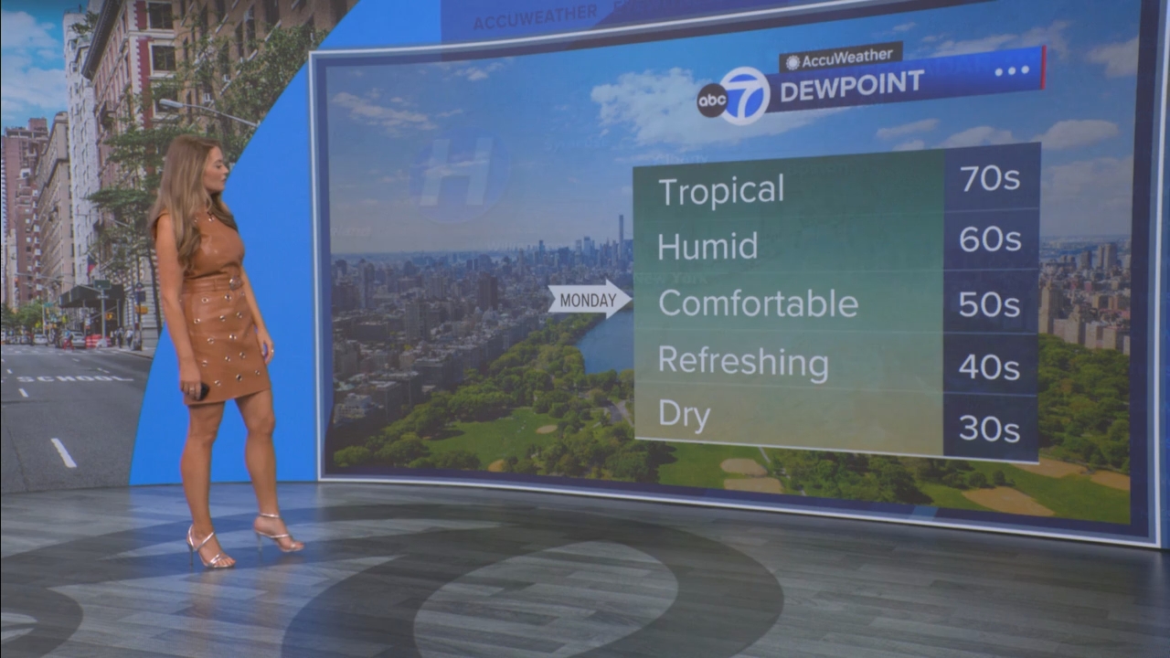 Eyewitness News Mornings at 10_20250901_15001600.ts_snapshot_17.36.975