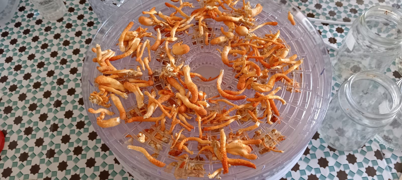 b0f1f119-6476-4477-bdb9-b1236ba39387