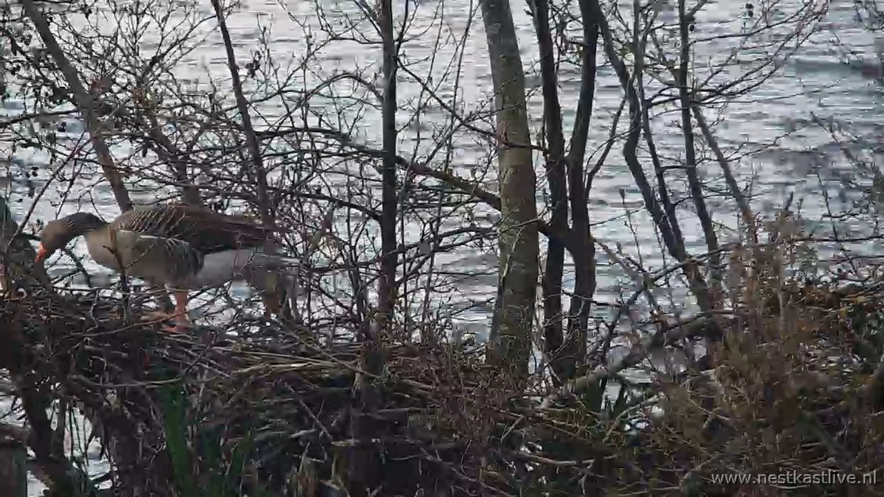 snapshot 2026 03 31T161131 487