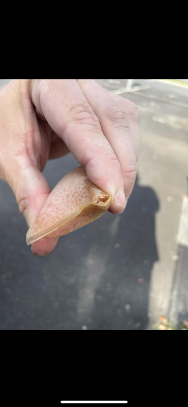 14A83758-D460-489E-A778-C1D4F6663386