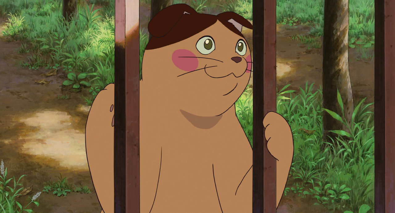 vlcsnap-2024-01-21-12h59m26s180