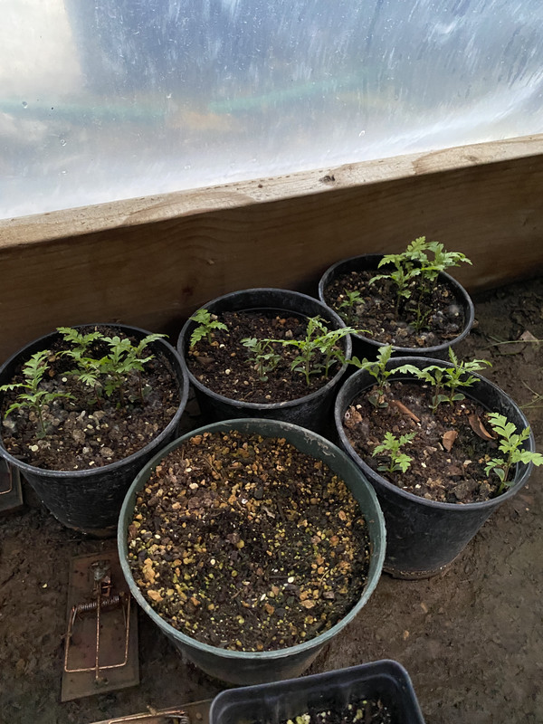 6BD40EF8-FCA5-45B5-842B-9FEEC040520B