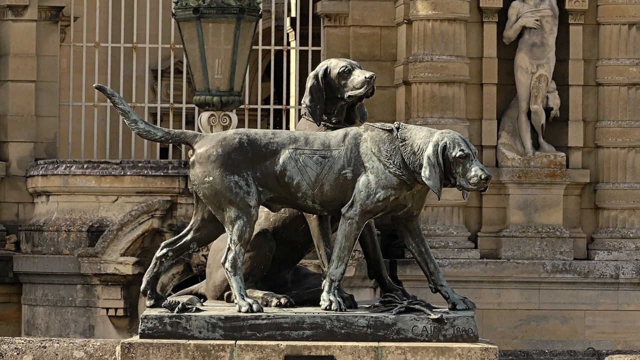 Les chiens du duc  Flum-P1020461-In-Pixio-In-Pixio