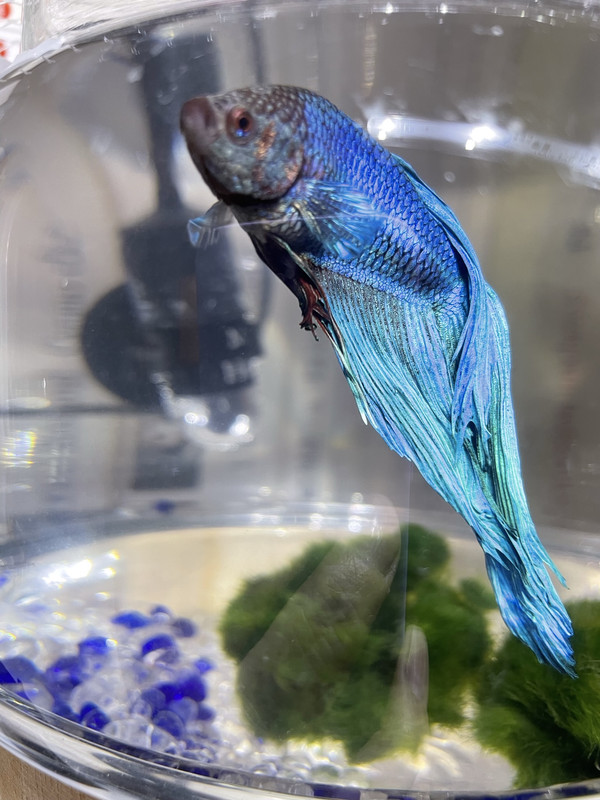 8739E230-8B01-4AC7-985A-71EB18E413C8