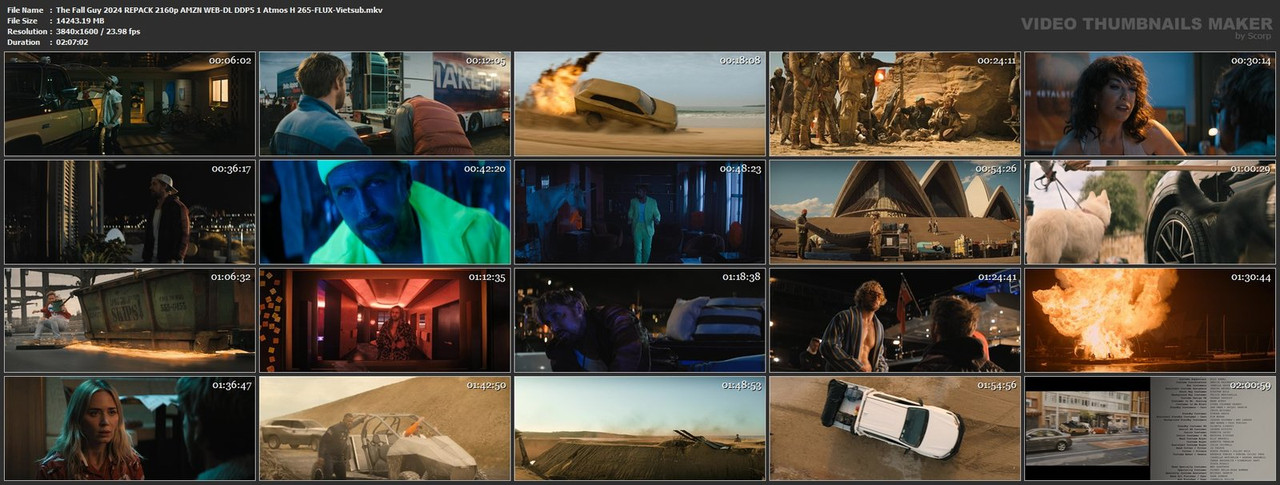 The-Fall-Guy-2024-REPACK-2160p-AMZN-WEB-DL-DDP5-1-Atmos-H-265-FLUX-Vietsub-mkv.jpg
