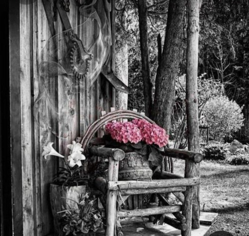 Screenshot_20230409_225352_Pinterest