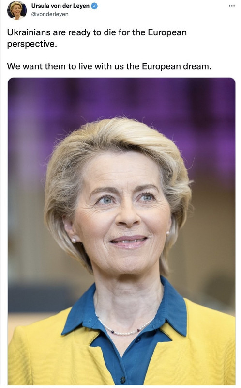 1731106028035921 (1)