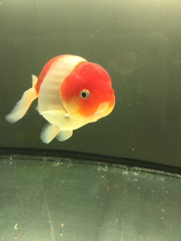 540AD221-8B47-4E4B-86F2-B01247199CB8