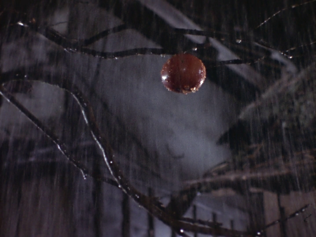 vlcsnap-2025-06-08-02h09m01s352