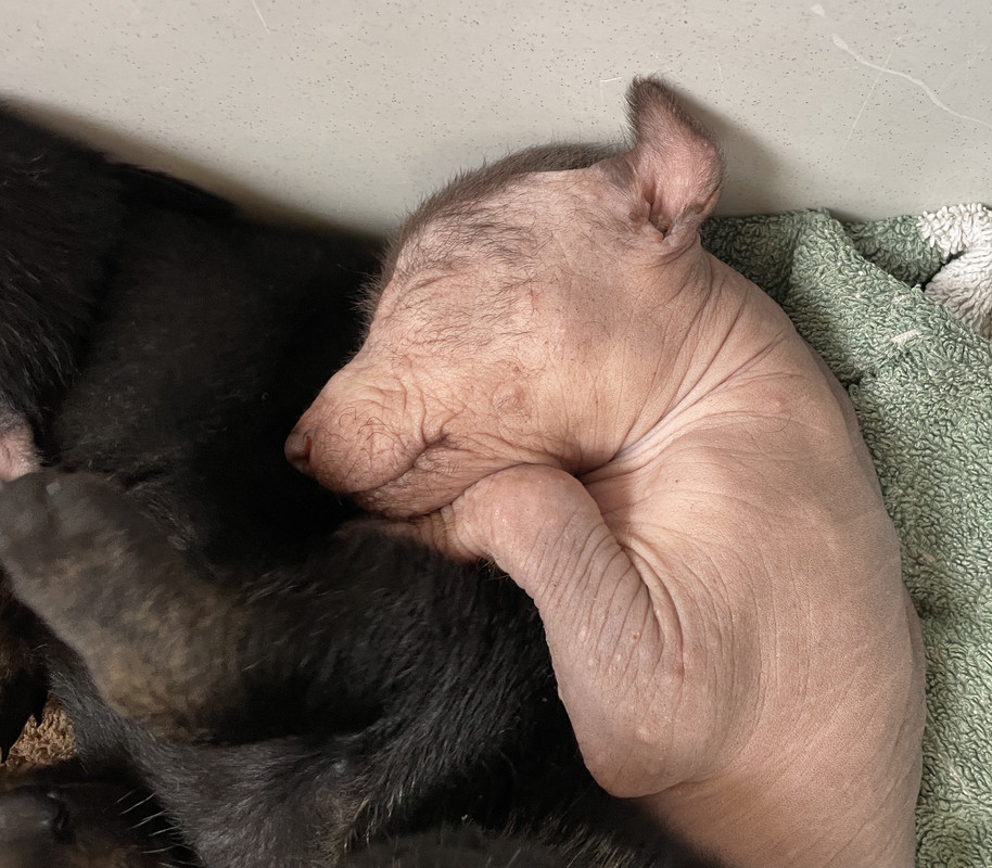 8E5A460C-E879-4E4F-85C2-7E1218E1858D_1_201_a