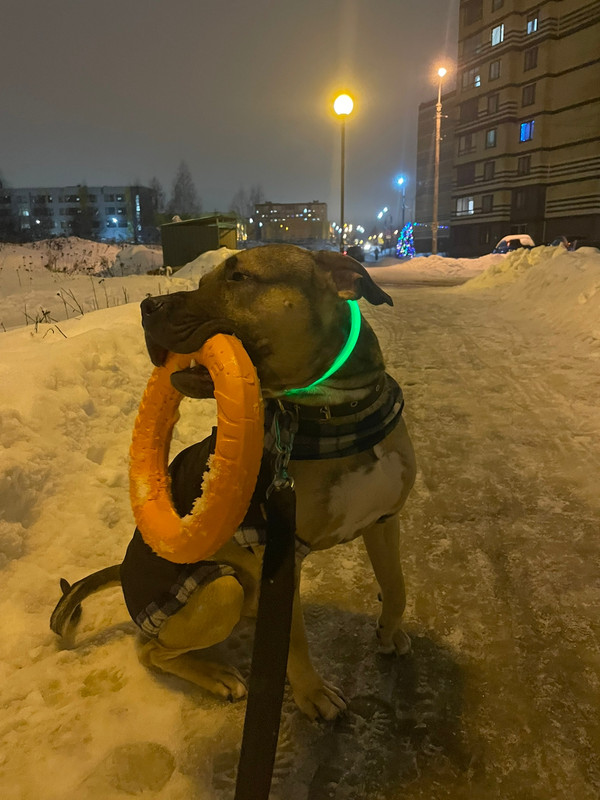 F5252530-0B99-4D4D-9F25-D907122D3778