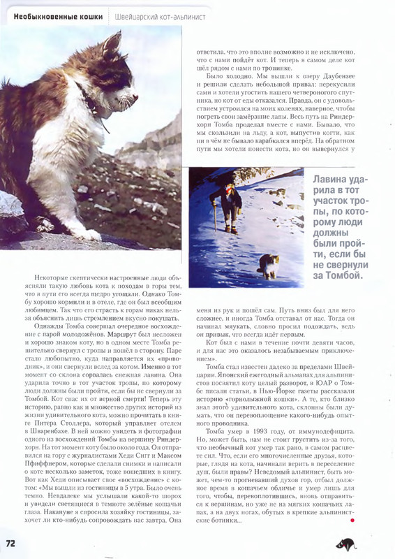 Moj-drug-koshka-2012-02-73