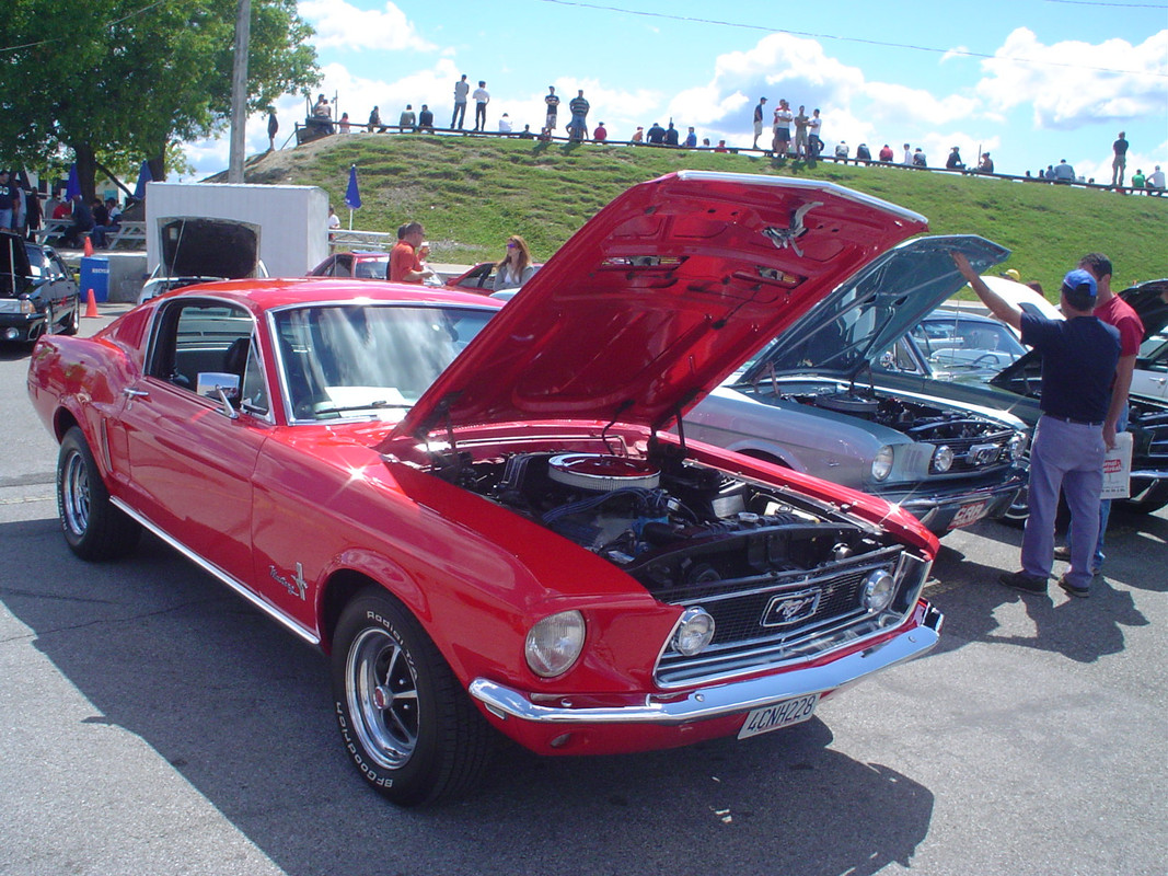 Montréal Mustang: 40 ans et + d’activités! (Photos-Vidéos,etc...) - Page 20 DSC06962