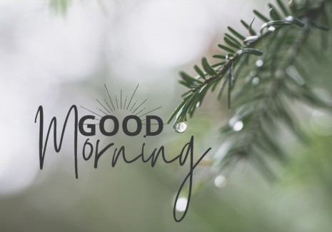 vartotojo įkelta nuotrauka