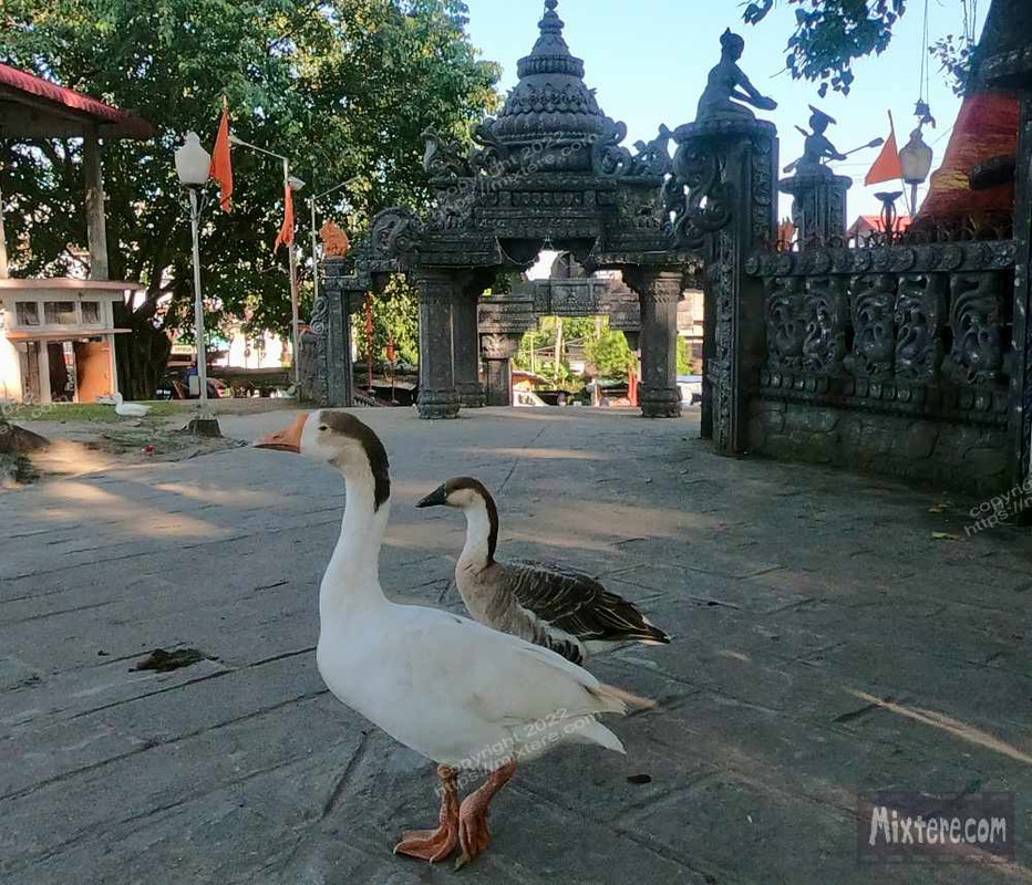 BBG&B19TawangToTezpur - 8