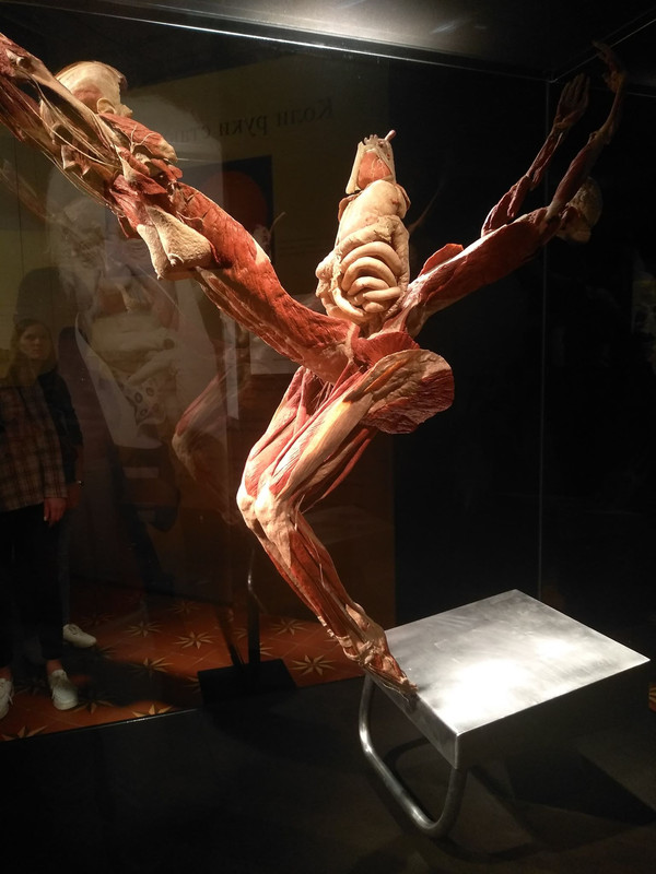 72631463_419264362319889_6010406804872232960_n