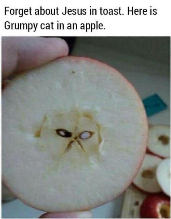 14EADC0F-0333-4957-A76A-E760159ECD3C