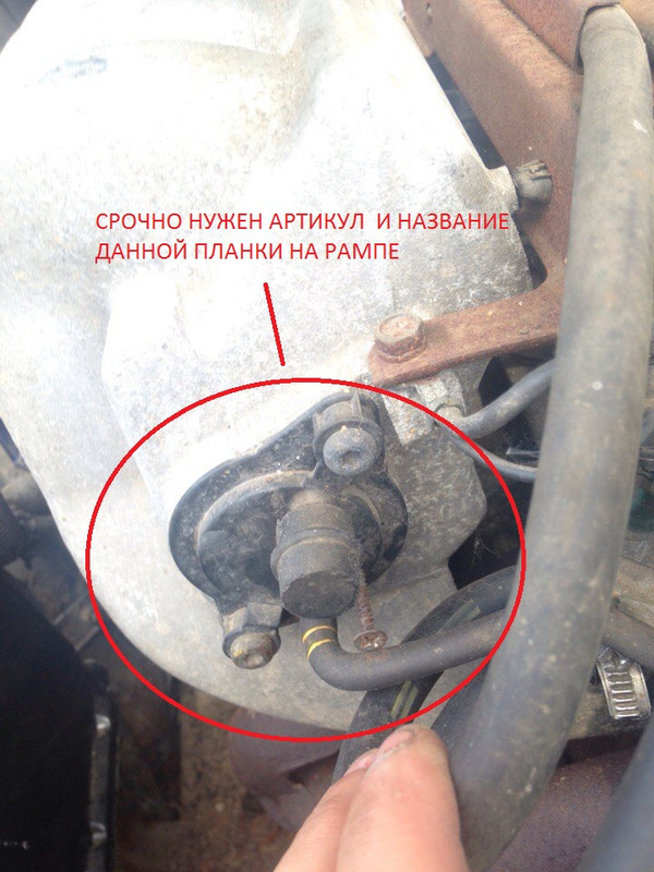 y4Ygфывывпрослмдиршдлгорпф-D7iFDs