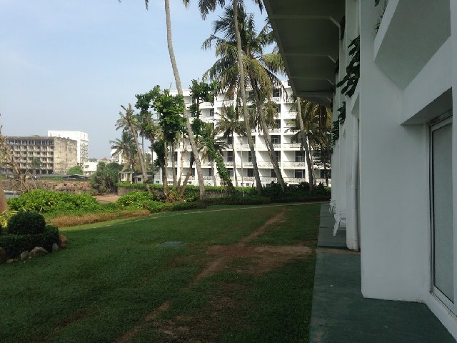 IMG-9805.jpg