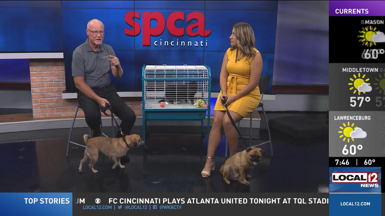08.13 - 11.00.00 - Good Morning Cincinnati Saturday  ᴺᵉʷ. News covera....ts_snapshot_01.52.07_[2022.