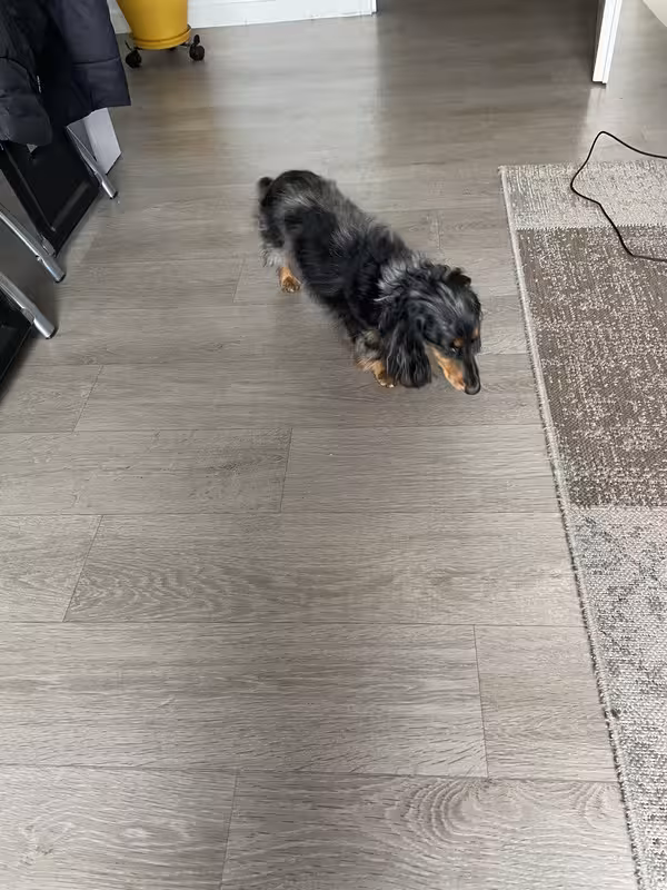 [Image: IMG-20251017-192036.avif]