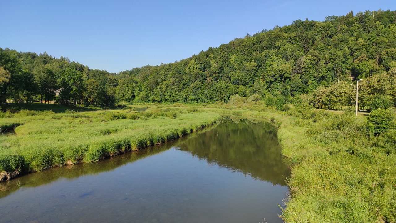 01.19 - IMG_20220616_070257 (Czesio1)